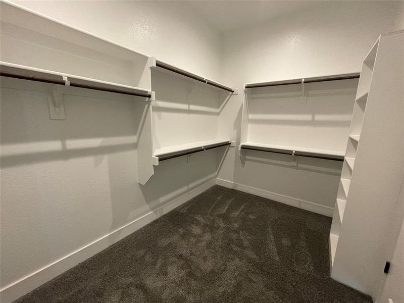 Spacious closet with dark colored carpet Spacious closet with dark colored carpet