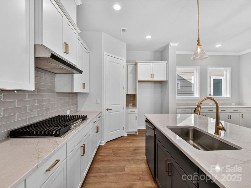 Furnished interior view inside a new home in Encore at Streamside - Classic Series, Waxhaw (Image 13).