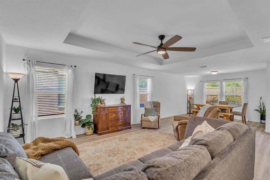 Living area featuring a raised ceiling, ceiling fan, and light wood-style flooring