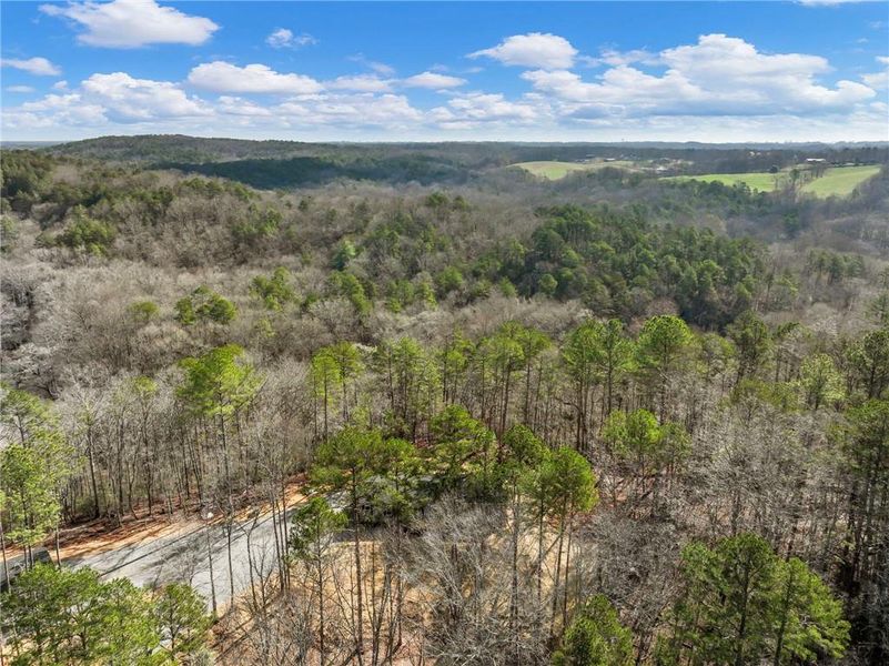 Natural landscape and outdoor views near  in Lula (Image 37).