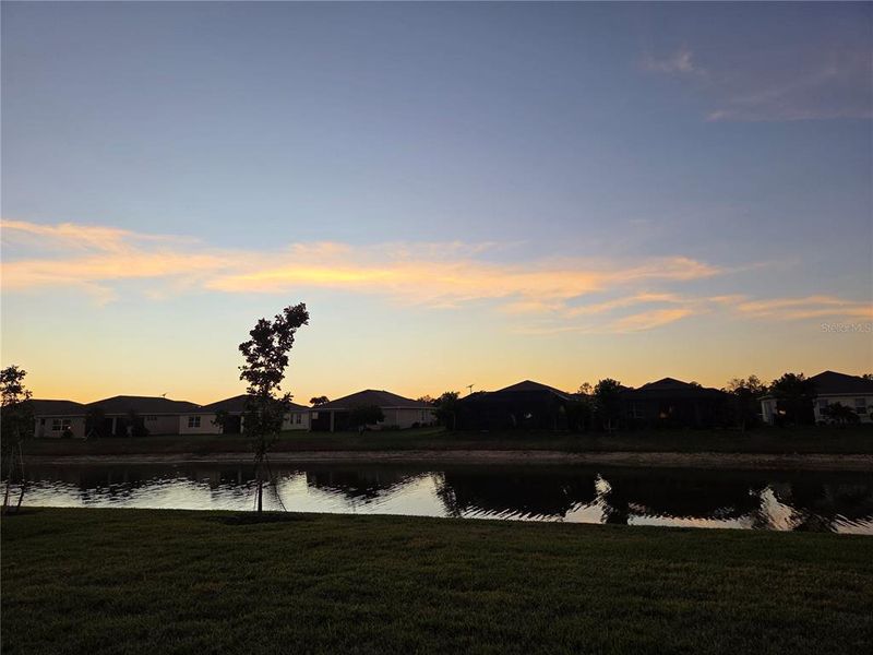 Natural landscape and outdoor views near  in Port Charlotte (Image 51).