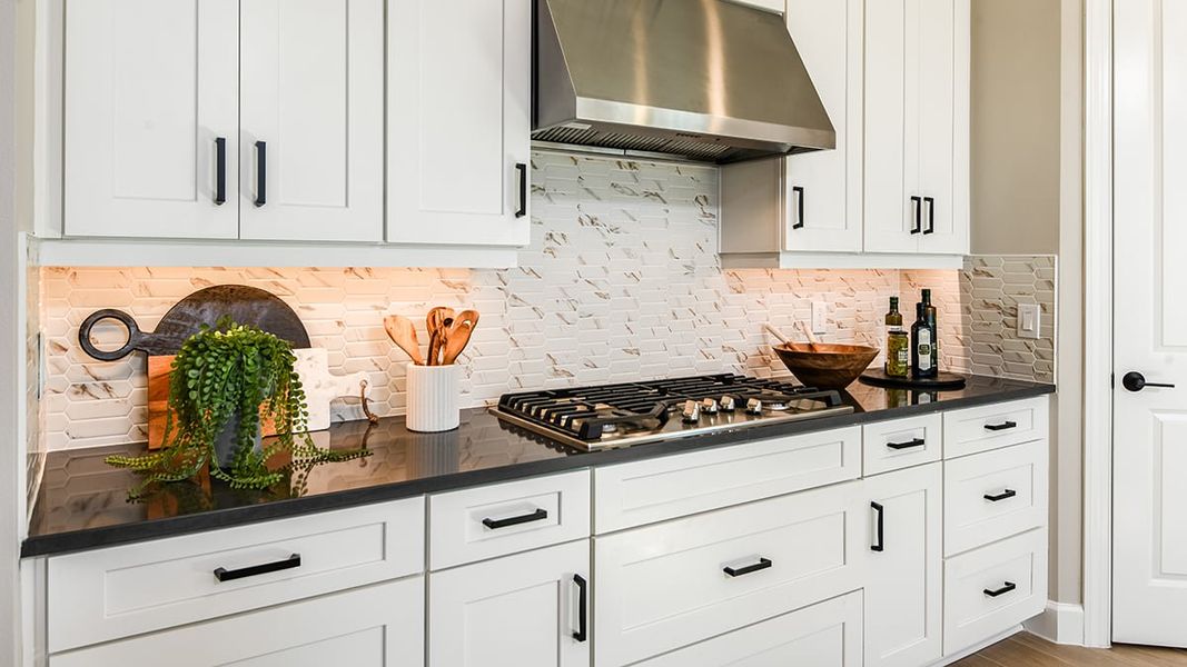 Image 34 representing the Pallazio by Taylor Morrison in Esplanade at McKinnon Groves, Winter Garden, FL.