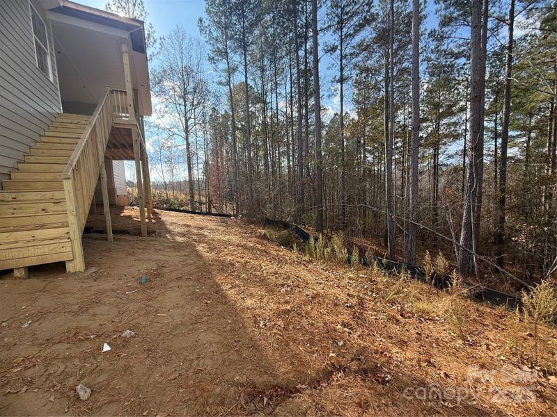 Back Yard Views Back Yard Views