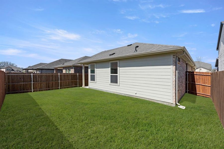 27. 3311 Dahlia - Back (2)