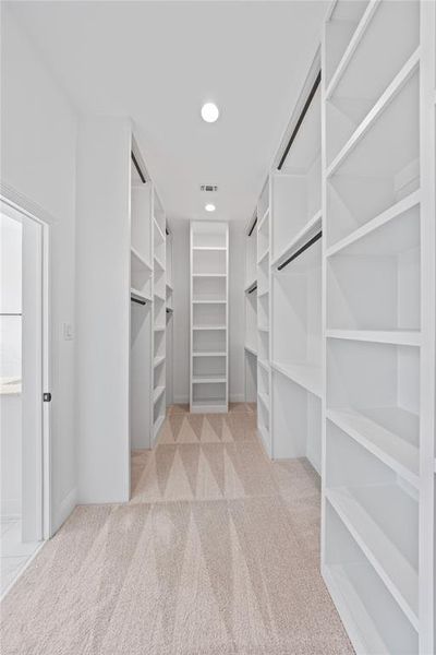 Walk in closet featuring light carpet