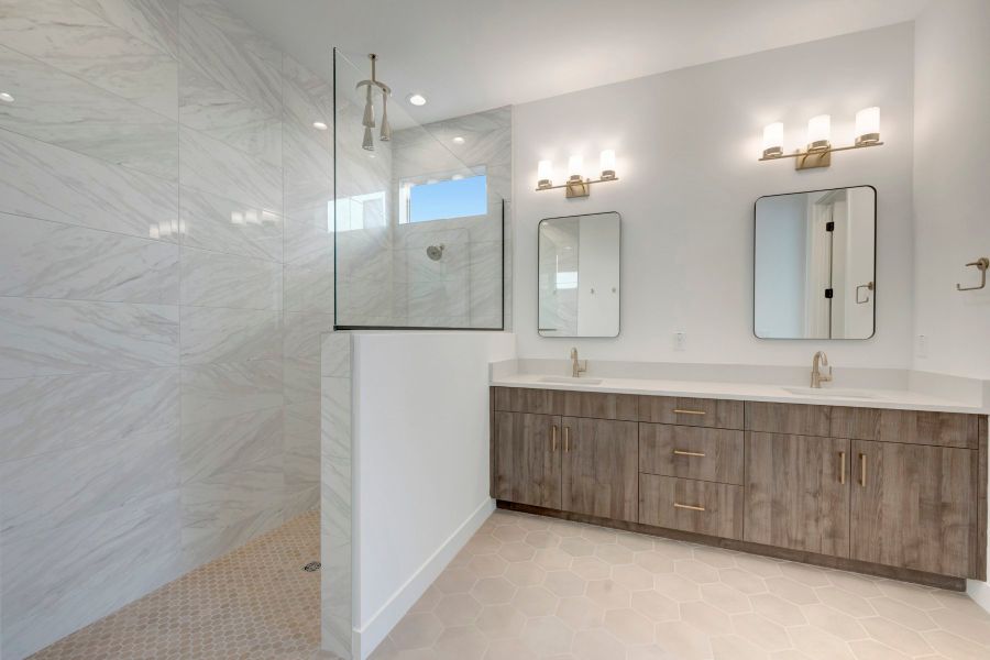 Owner's Bath