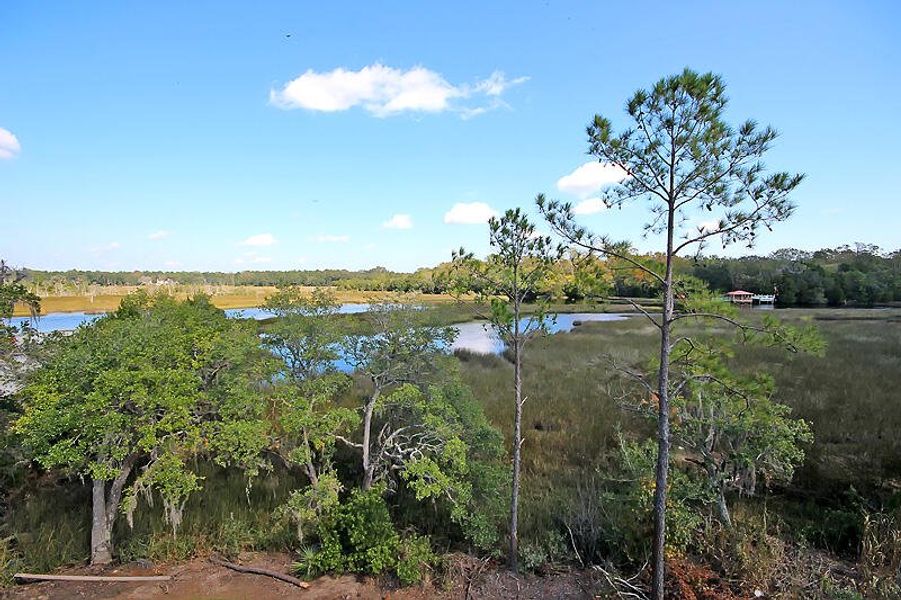 Natural landscape and outdoor views near  in Ravenel (Image 51).