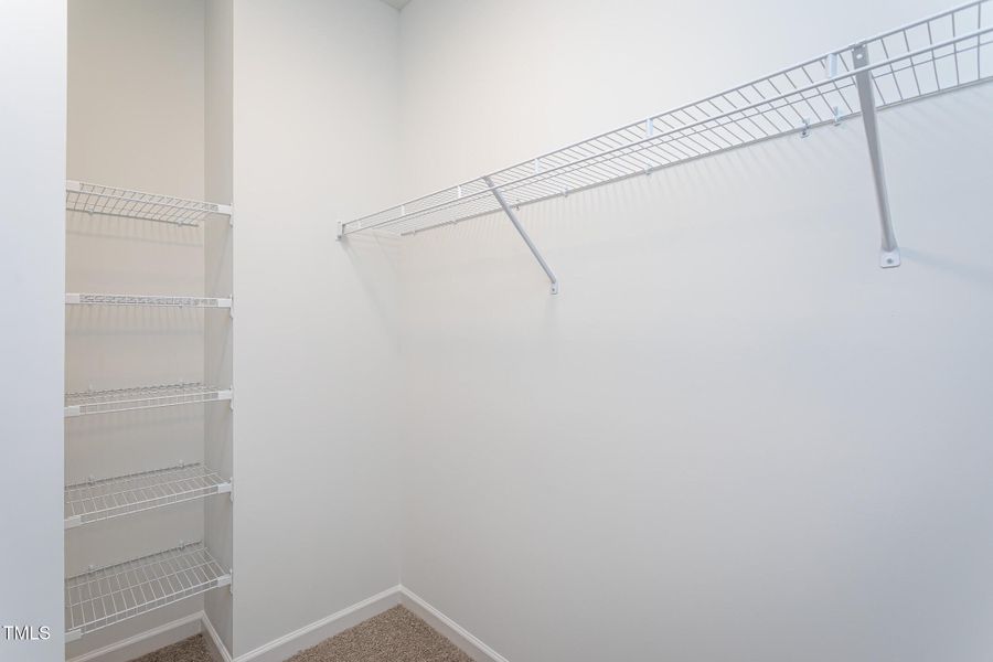 coleman-6069-jones-50 coleman-6069-jones-50