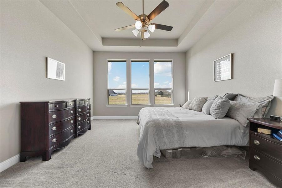 Carpeted bedroom with a tray ceiling and ceiling fan