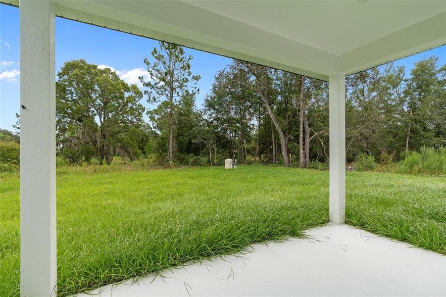 Spacious, unfurnished interior of a new home in , Ocklawaha (Image 24).