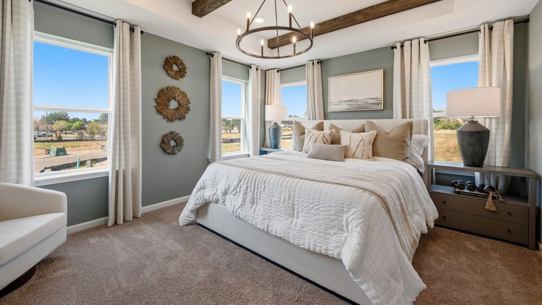 Bedroom with tray and accent ceiling, carpet and windows Bedroom with tray and accent ceiling, carpet and windows