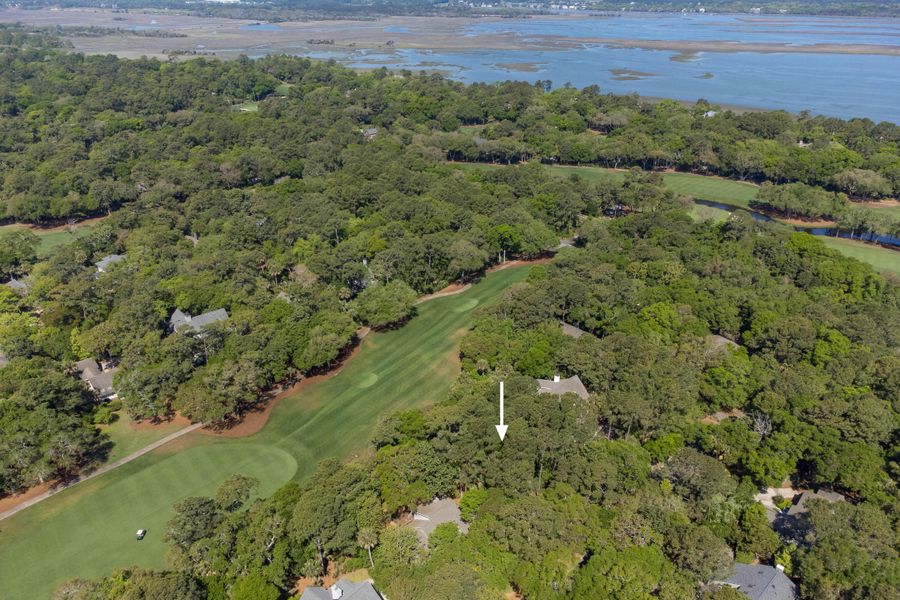 Natural landscape and outdoor views near  in Kiawah Island (Image 5).