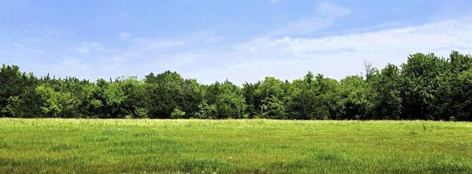 Natural landscape and outdoor views near Discovery Lakes in Rockwall (Image 8).