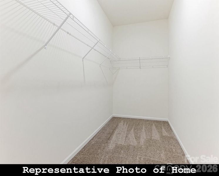 Spacious, unfurnished interior of a new home in , Charlotte (Image 19).