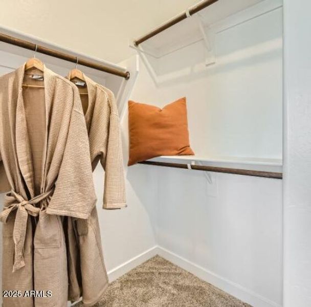 Owners Walk in Closet