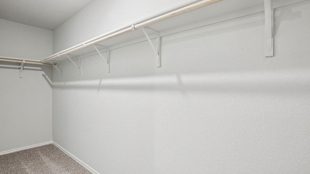 Carpeted walk-in closet featuring white wire shelving, hanging rods, and light-toned wall paint Carpeted walk-in closet featuring white wire shelving, hanging rods, and light-toned wall paint