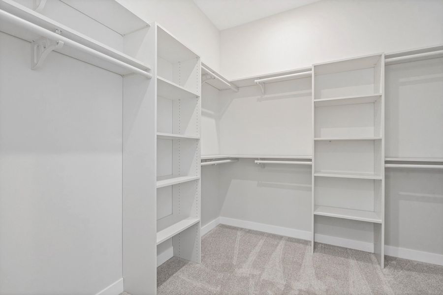 Custom built-in shelving, multiple hanging rods, and light-toned carpeting
