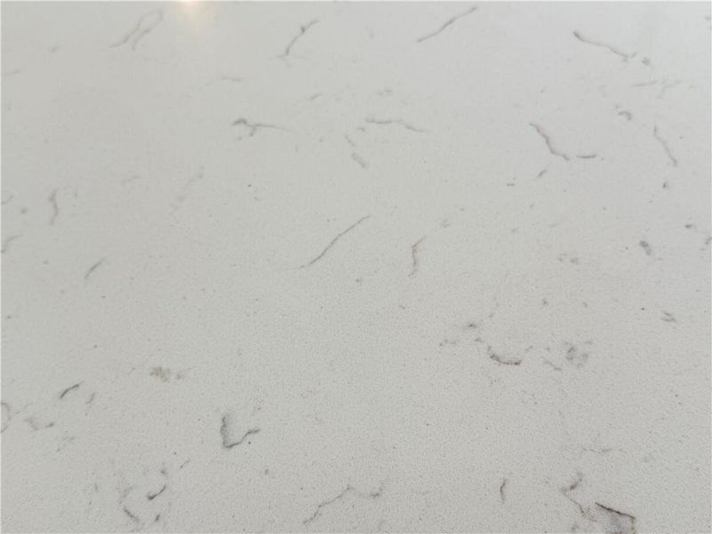 Close-up of interior finishes inside a home in Ponderosa Farms Manor, Gainesville (Image 18).