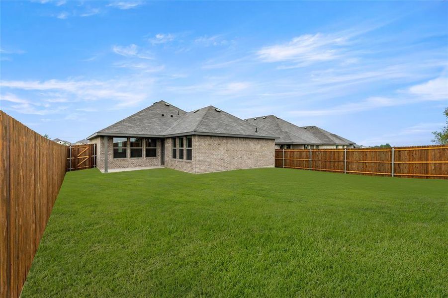 4509 Snakeweed-Back-2