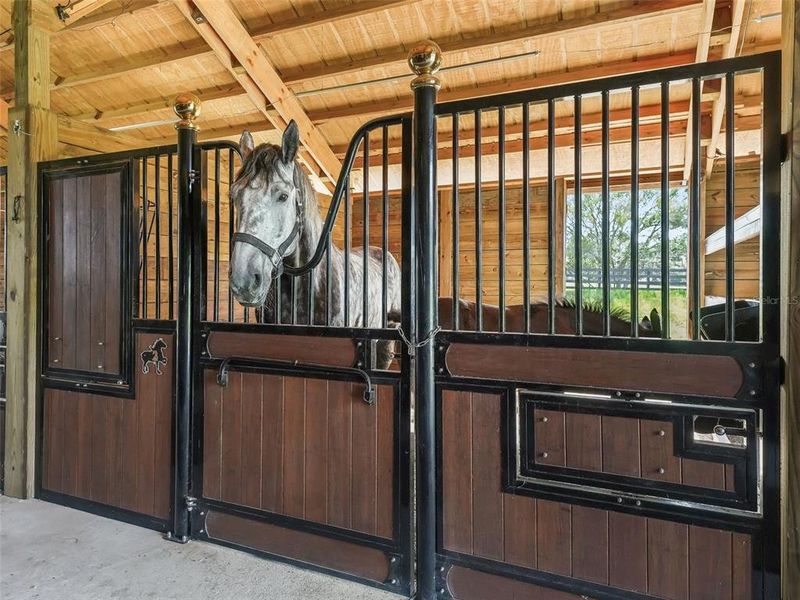 Exterior details and patio area of a home in , Ocala (Image 47).