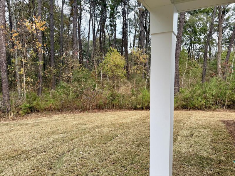 Exterior details and patio area of a home in , Summerville (Image 3).