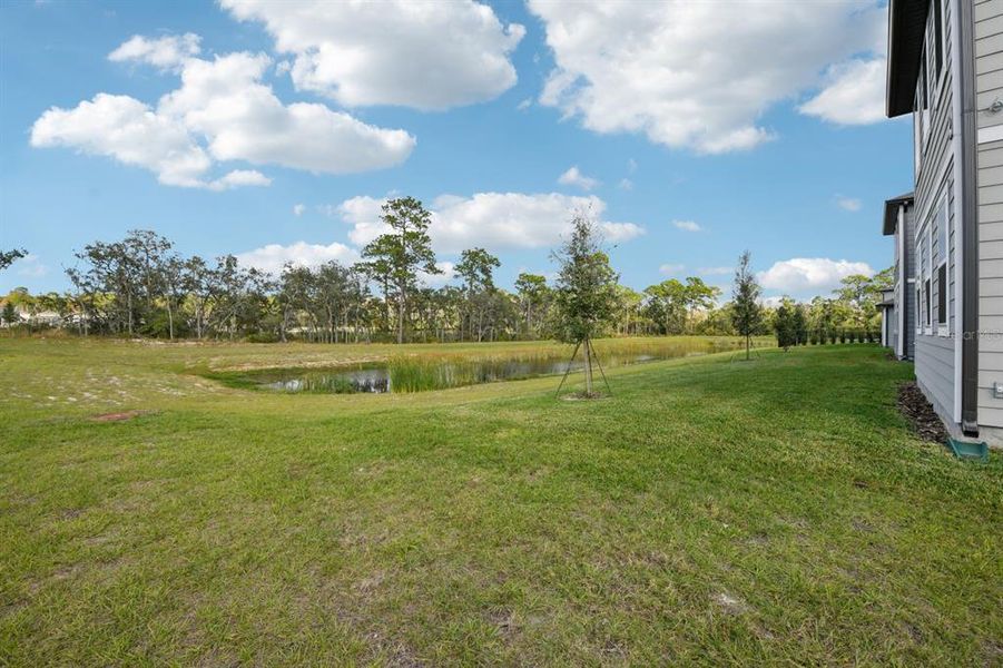 Exterior details and patio area of a home in Northlake Traditional, Winter Garden (Image 27). Exterior details and patio area of a home in Northlake Traditional, Winter Garden (Image 27).