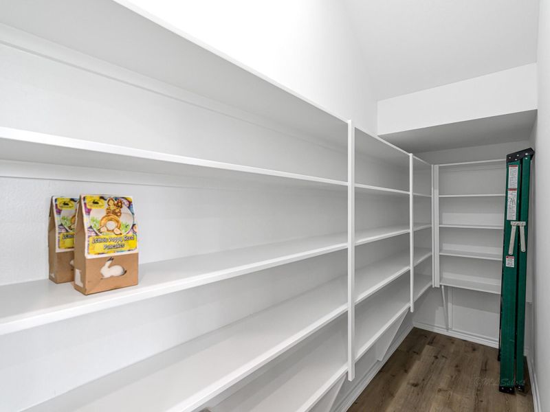 Huge walk-in pantry. Time for a Costco run