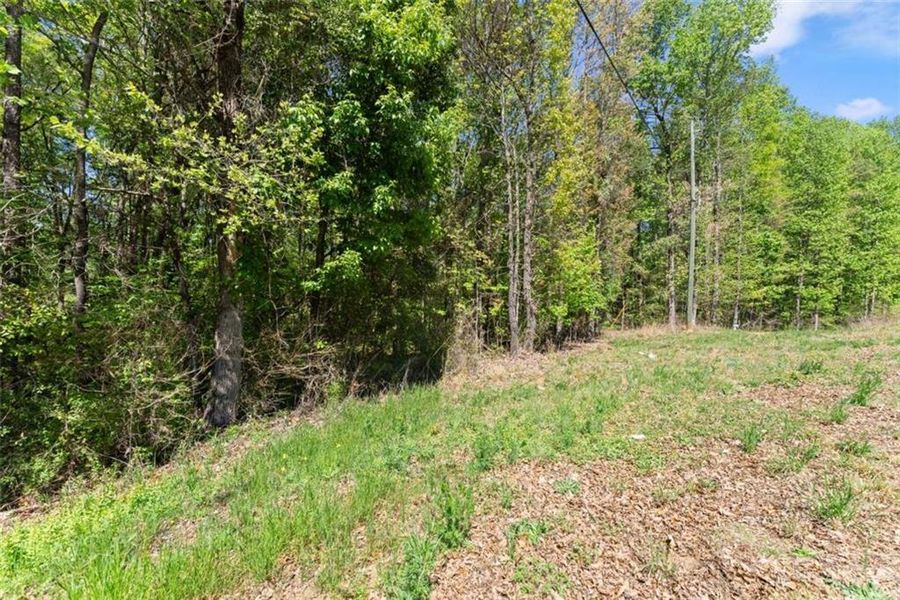 Natural landscape and outdoor views near in Commerce (Image 23). Natural landscape and outdoor views near in Commerce (Image 23).