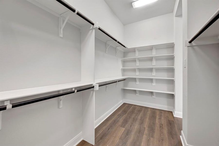 Walk in closet with dark wood finished floors