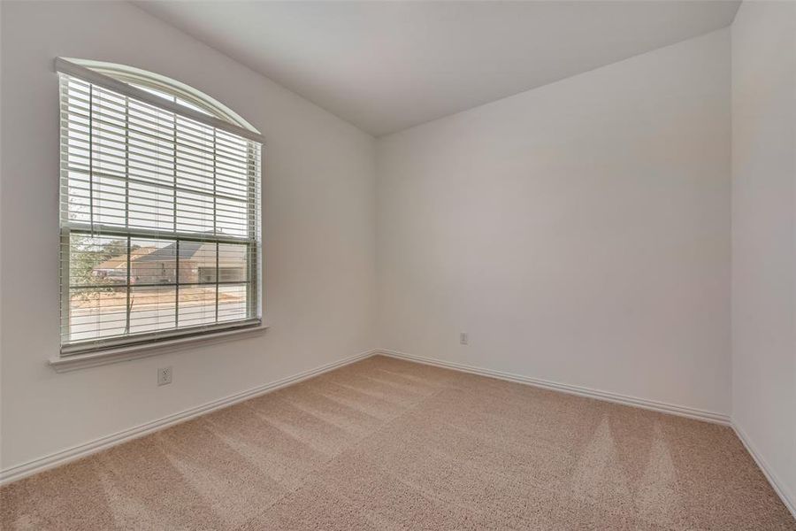 Unfurnished room featuring carpet floors