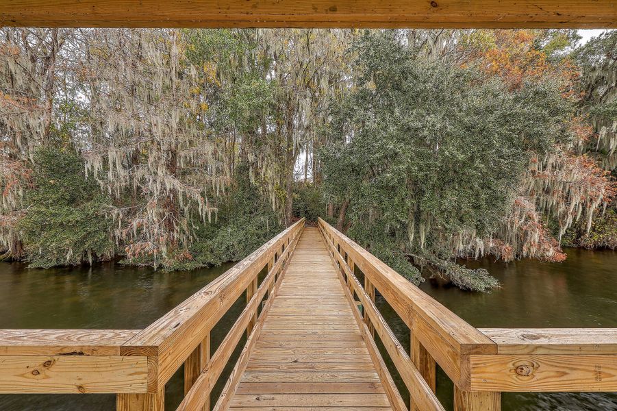 Natural landscape and outdoor views near in Hanahan (Image 36). Natural landscape and outdoor views near in Hanahan (Image 36).