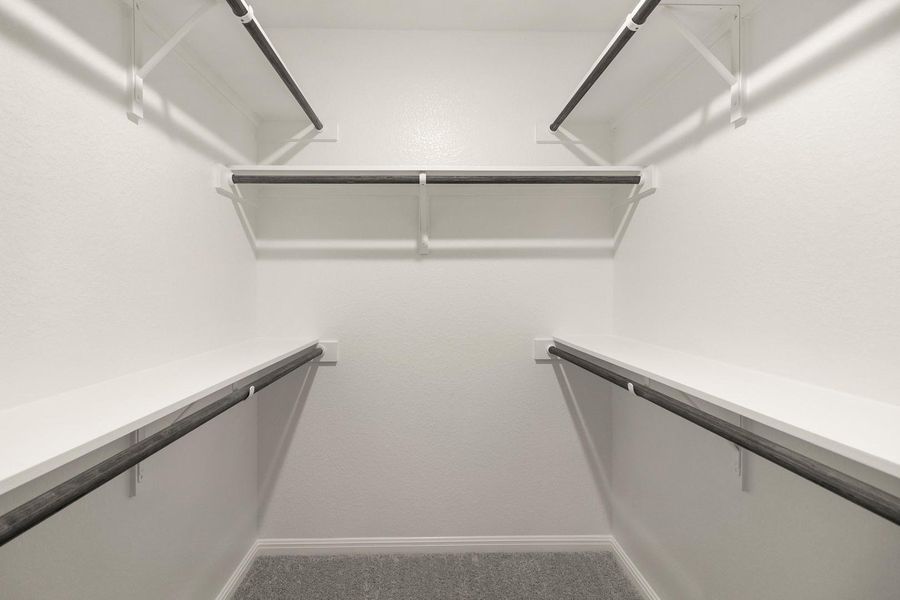 Expansive closet featuring white shelving and hanging rods, providing ample storage, with grey carpeting