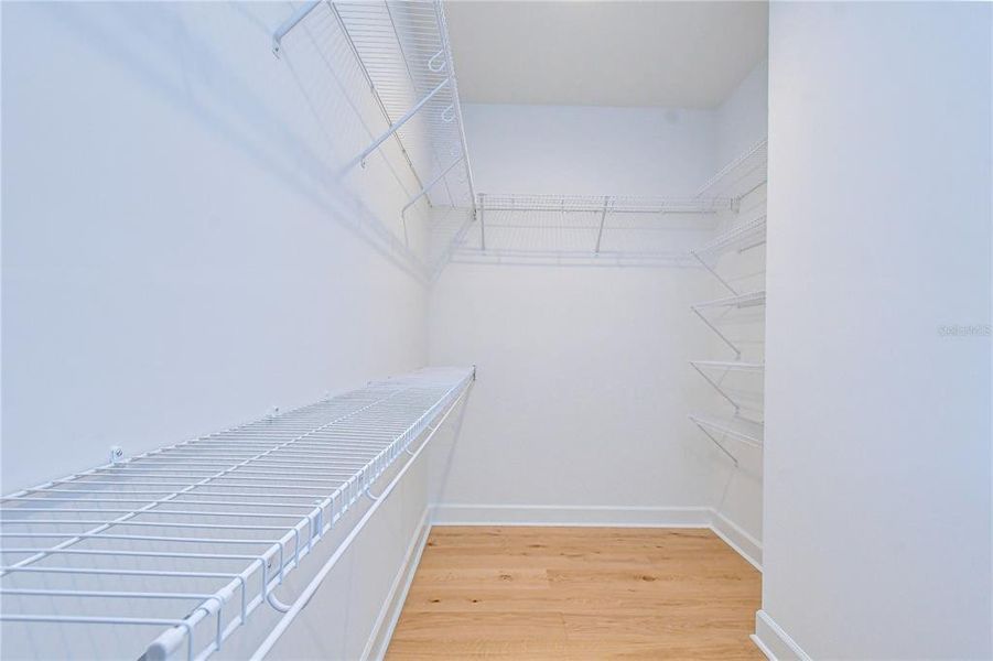 Spacious, unfurnished interior of a new home in , Tampa (Image 42).