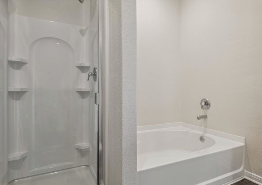 Step-in shower and separate tub in master bathroom