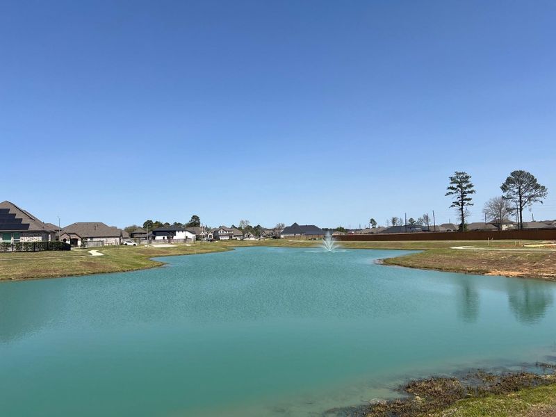 Natural landscape and outdoor views near Wood Leaf Reserve in Tomball (Image 19).