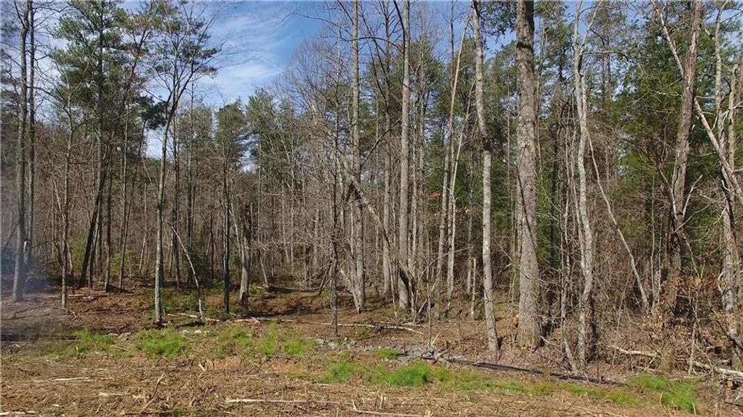 Image 19 of a home in . Image 19 of a home in .