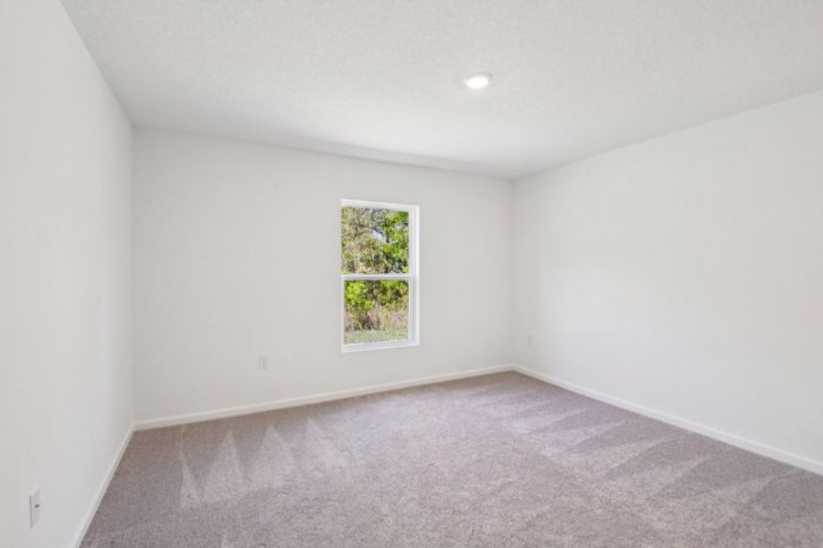 A room with a window and a tree outside.