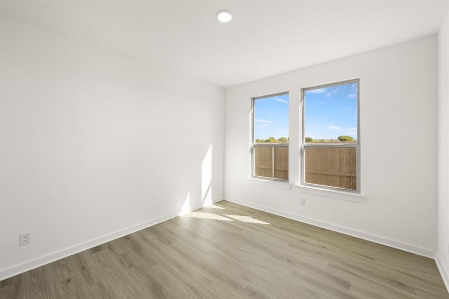 3122 Teasel- Study-1 3122 Teasel- Study-1