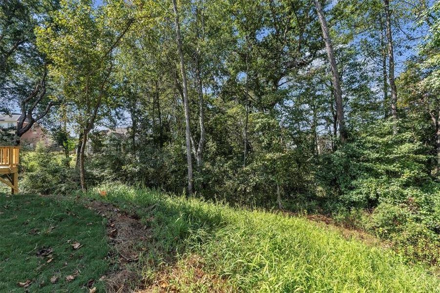 Natural landscape and outdoor views near Sweetlake Grove in Mableton (Image 28).