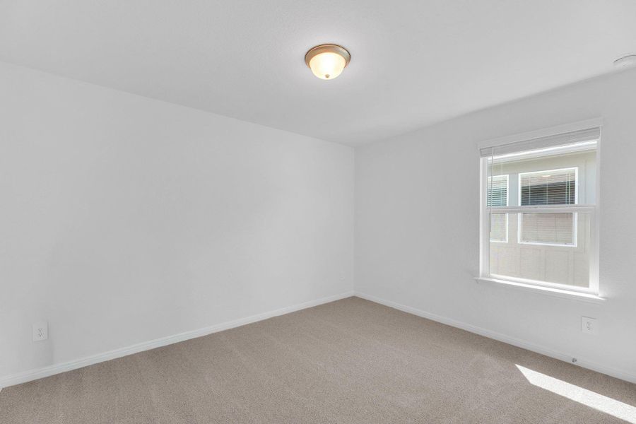 Spare room with carpet and baseboards Spare room with carpet and baseboards