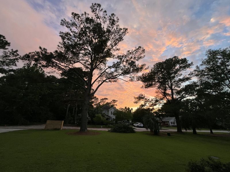 Natural landscape and outdoor views near  in Mount Pleasant (Image 69).