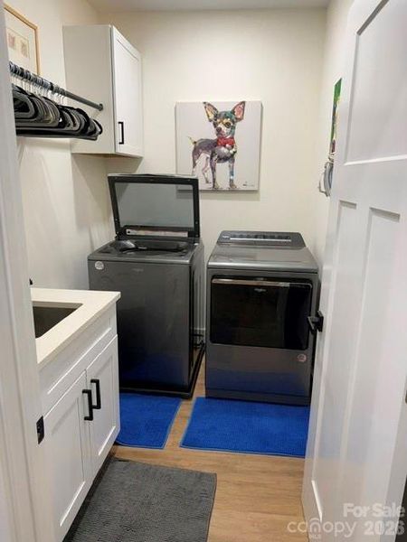 Spacious Laundry Lower Level Has Cabinetry and wash Sink and Built in Iron Board Spacious Laundry Lower Level Has Cabinetry and wash Sink and Built in Iron Board