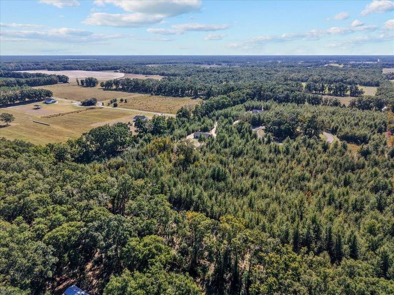 Natural landscape and outdoor views near  in Bell (Image 35).