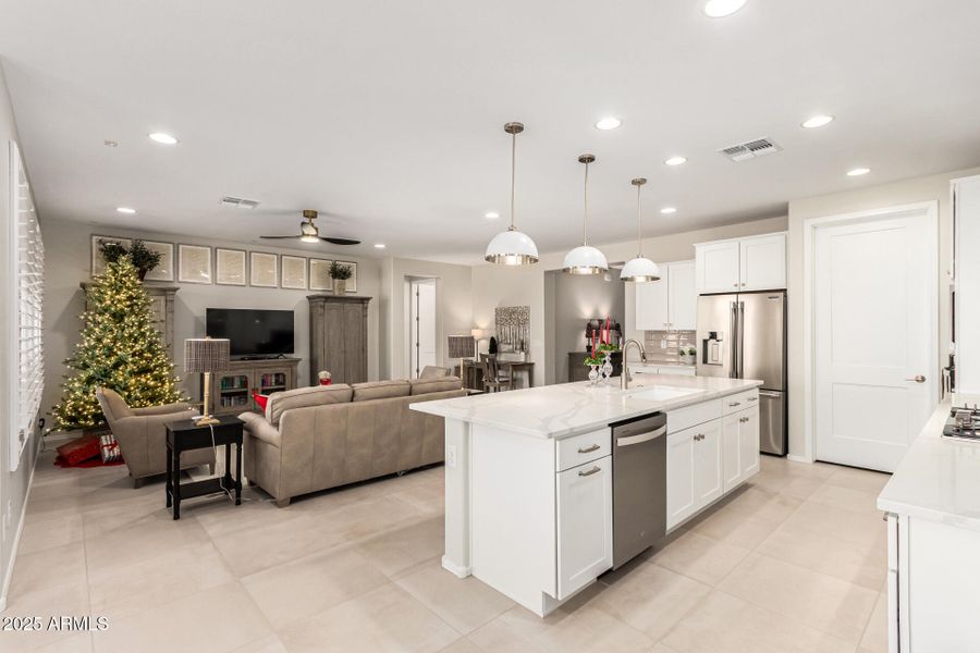 15-Cactus Wren 15-Cactus Wren