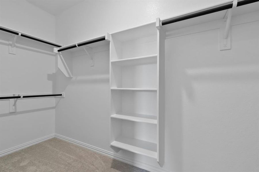 Walk in closet with carpet