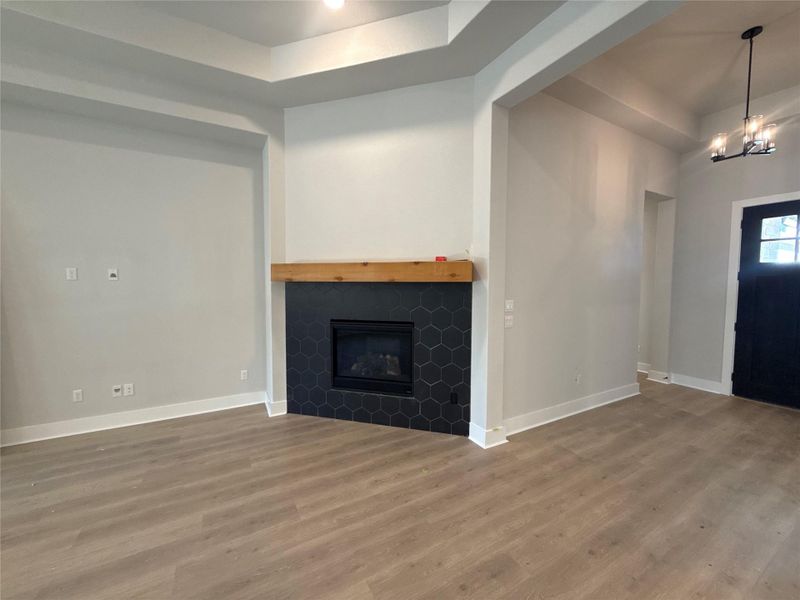 Fireplace in Family Room