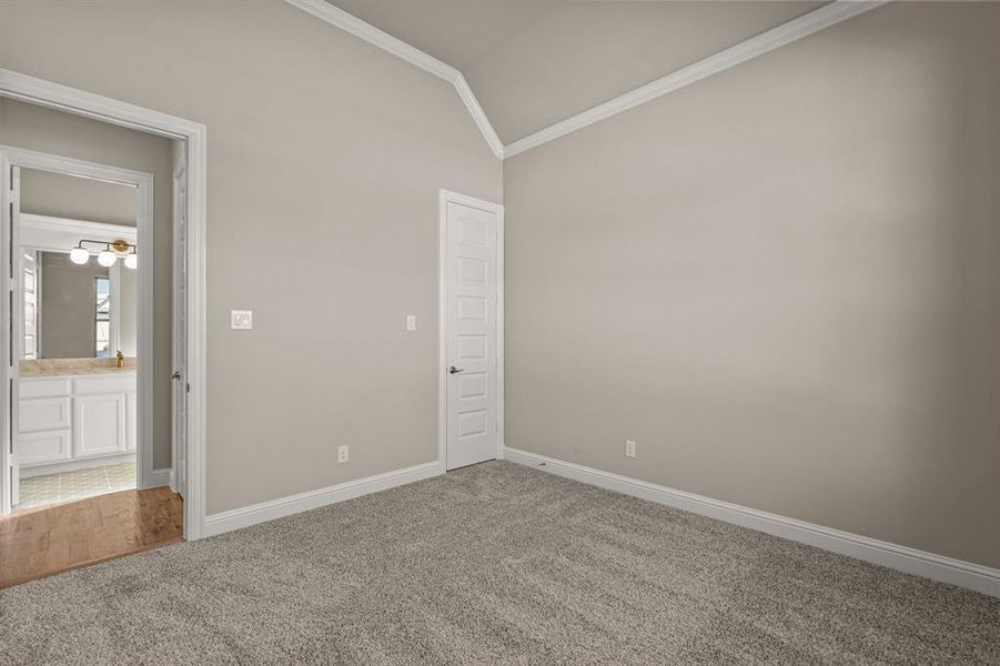 Spare room featuring lofted ceiling, ornamental molding, and carpet