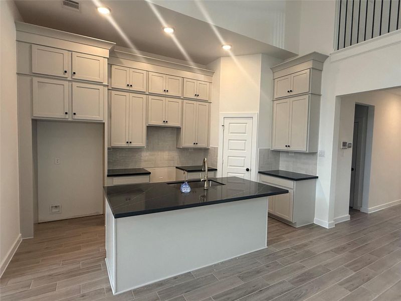 You'll love this open concept kitchen and never miss a moment while entertaining and enjoying family time. You'll love this open concept kitchen and never miss a moment while entertaining and enjoying family time.