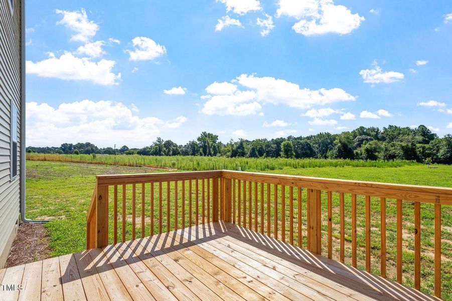 LDP 7 Back View v2 LDP 7 Back View v2