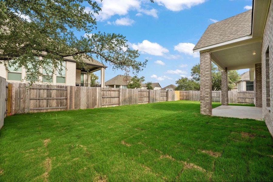 Backyard Backyard